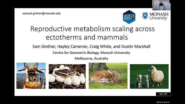 Reproductive metabolism scaling across ectotherms