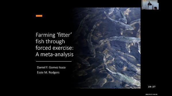 Farming fitter fish through forced exercise: A meta-analysis