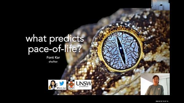 What predicts pace-of-life? Distinguishing among multiple hypotheses in terrestrial ectotherms