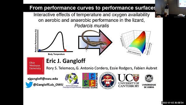 Interactive effects of temperature and oxygen availability on performance and thermal limits in the lizard Podarcis muralis