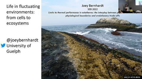 Life in fluctuating environments