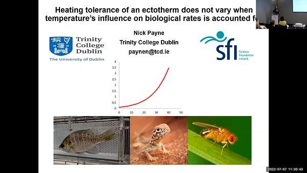 Heating tolerance of an ectotherm does not vary when temperature’s influence on biological rates is accounted for