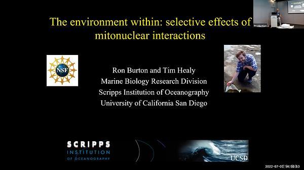 The environment within: selective effects of mitonuclear interactions