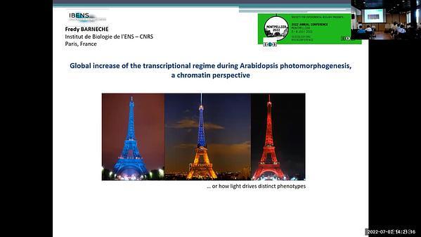 Global increase of the nuclear transcriptional regime during Arabidopsis photomorphogenesis: a chromatin perspective