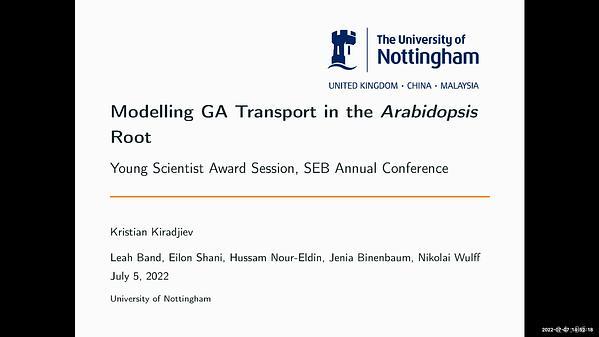 Modelling GA transport within the Arabidopsis root