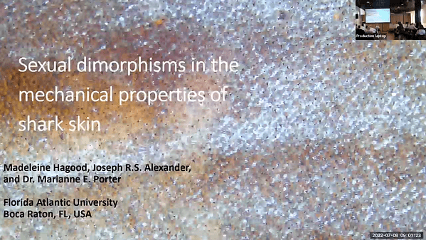 Sexual dimorphisms in the mechanical properties of shark skin