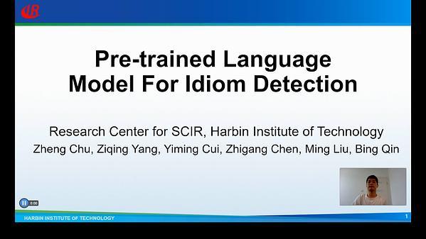 Pre-trained Language Model for Idioms Detection