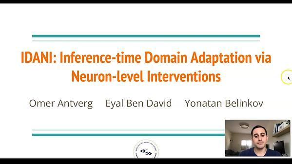 IDANI: Inference-time Domain Adaptation via Neuron-level Interventions