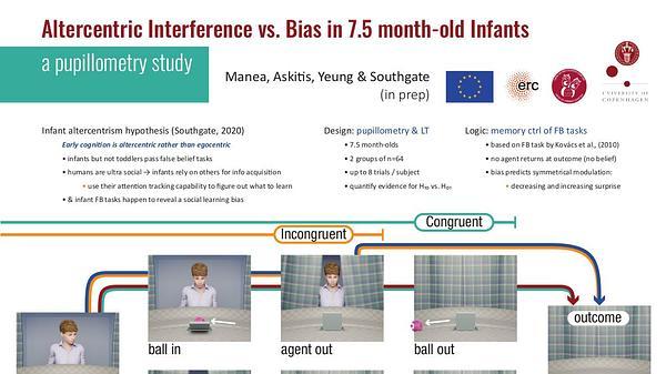 Altercententric interference vs. bias in 7.5 month-old infants: a pupillometry study