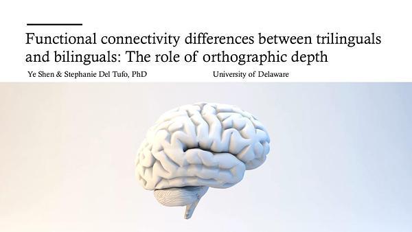 Functional Connectivity Differences between Trilinguals and Bilinguals: The Role of Orthographic Depth