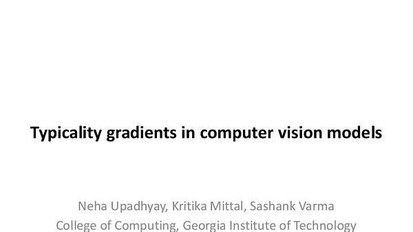 Typicality Gradients in Computer Vision Models