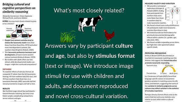 Bridging cultural and cognitive perspectives on similarity reasoning