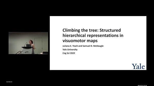 Climbing the Tree: Structured Hierarchical Representations in Visuomotor Maps