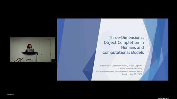 Three-Dimensional Object Completion in Humans and Computational Models