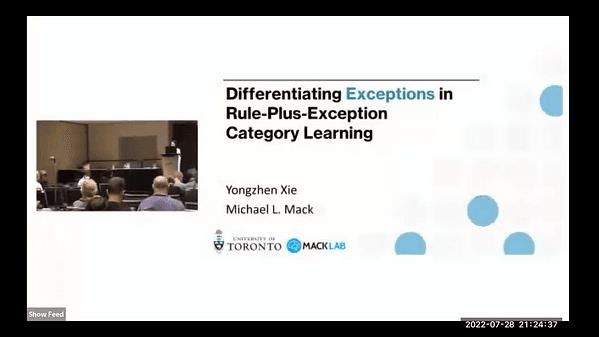 Differentiating Exceptions in Rule-Plus-Exception Category Learning