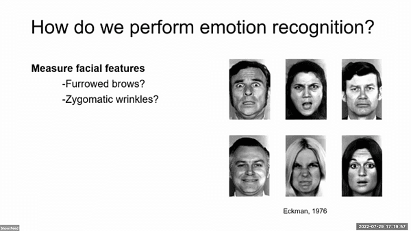 Categorizing Ambiguous Facial Expressions