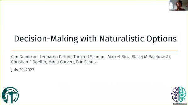 Decision-Making with Naturalistic Options
