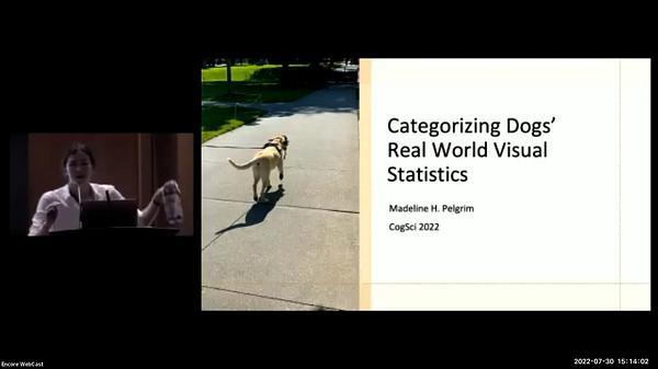 Categorizing Dogs’ Real World Visual Statistics