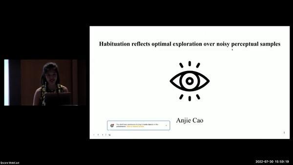 Habituation reflects optimal exploration over noisy perceptual samples