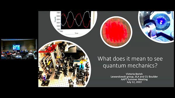 What Does it Mean to See Quantum Mechanics?