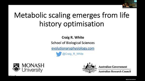 Metabolic scaling is the product of life history optimization