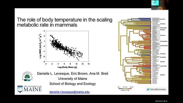 The role of body temperature in the scaling of metabolic rate in mammals