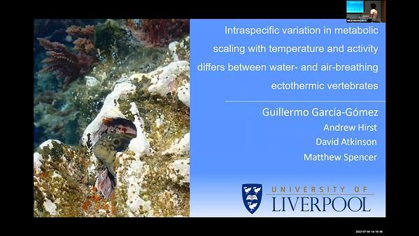 Intraspecific variation in metabolic scaling with temperature and activity differs between water- and air-breathing ectothermic vertebrates