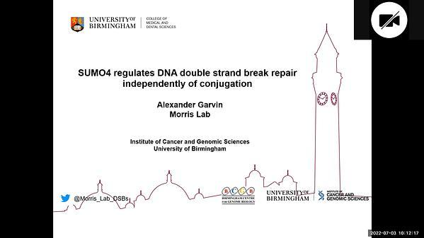 SUMO4 regulates DNA double strand break repair independently of conjugation