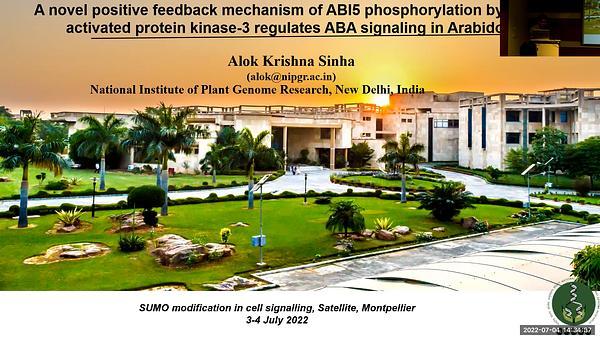 A novel positive feedback mechanism of ABI5 phosphorylation by mitogen activated protein kinase-3 regulates ABA signaling in Arabidopsis