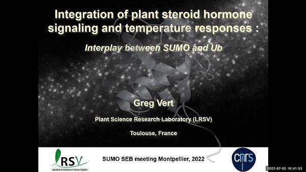 Integration of plant steroid hormone signaling and temperature responses : interplay between SUMO and Ub