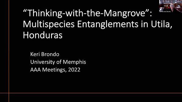 "Thinking-with-the-Mangrove": Multispecies Entanglements in Utila, Honduras