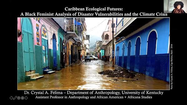 Futures of the Caribbean: A Black Feminist Analysis of Disaster Vulnerabilities and Ecological Hopes
