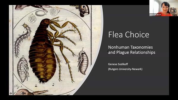 Flea Choice: Nonhuman Taxonomies and Plague Relationships