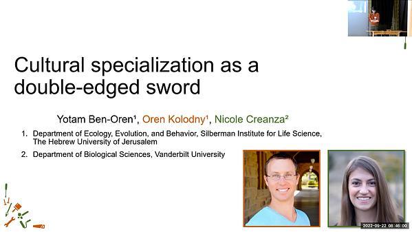 Cultural specialization as a double-edged sword: division into specialized guilds might promote cultural complexity at the cost of higher susceptibility to cultural loss