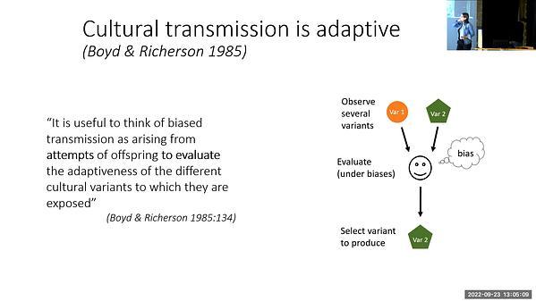 Associative learning and cultural transmission: We teach to novices the variants we learned from experts, and to peers the variants we learned from other peers!