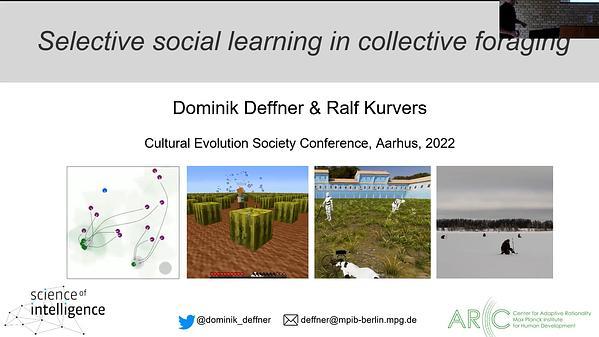 Selective social learning in collective foraging