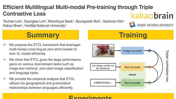Efficient Multilingual Multi-modal Pre-training through Triple Contrastive Loss