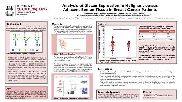 Analysis of Glycan Expression in Malignant versus Adjacent Benign Tissue in Breast Cancer Patients