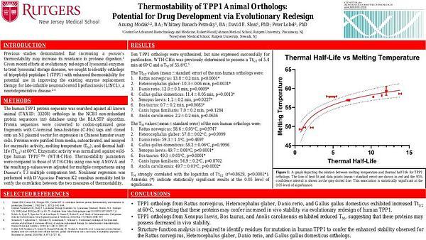 Neurology - Thermostability of TPP1 Animal Orthologs: Potential for Drug Development via Evolutionary Redesign - Neurology