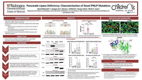 Pancreatic Lipase Deficiency: Characterization of Novel PNLIP Mutations