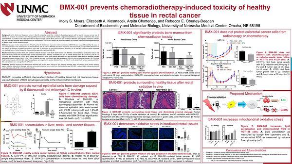 BMX-001 prevents chemoradiotherapy-induced toxicity of healthy tissue in rectal cancer