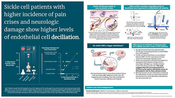 Cilia as a biomarker for the neurovascular unit stability and pain crises in sickle cell patients