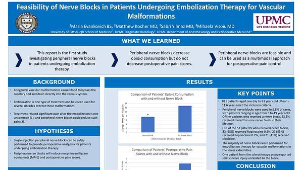 Feasibility of Nerve Blocks in Patients Undergoing Embolization Therapy for Vascular Malformations