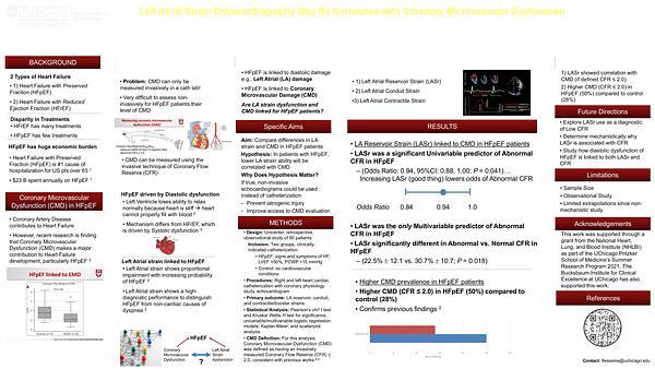 Left Atrial Strain Echocardiography May Be Correlated with Coronary Microvascular Dysfunction