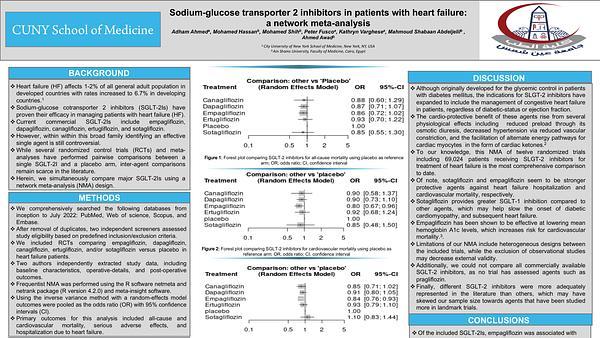 Sodium-glucose transporter 2 inhibitors in patients with heart failure: a network meta-analysis