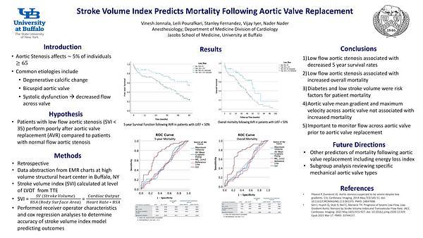Stroke Volume Index Predicts Mortality Following Aortic Valve Replacement