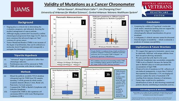 Validity of Mutations as a Cancer Chronometer
