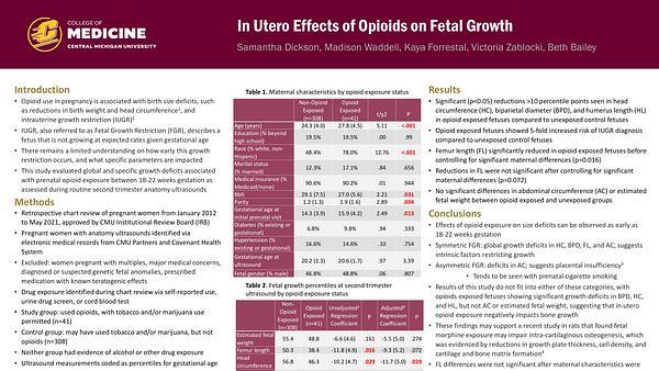 In Utero Effects of Opioids on Fetal Growth