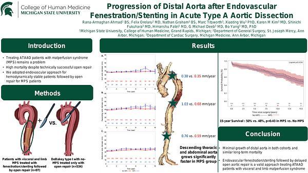 Progression of Distal Aorta after Endovascular Fenestration/Stenting in Acute Type A Aortic Dissection