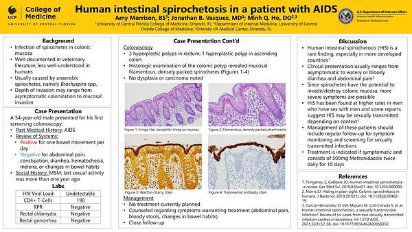 Human intestinal spirochetosis in a patient with AIDS